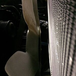 IMG_9997.jpg