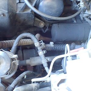 p9150675-s-jpg.149494.jpg