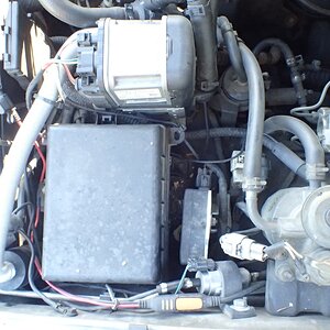 p9150679-s-jpg.149495.jpg