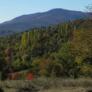 DSCN1101.JPG