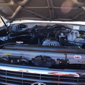 DSC00641 (FILEminimizer).JPG