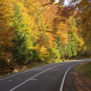 autumn colours on transfag smaller.jpg