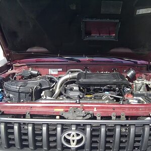 Fundo-20120308-00077.jpg
