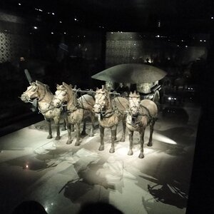 TCA (22).jpg