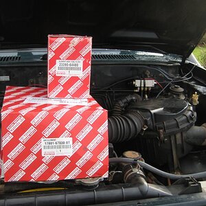 IMG_5860 (Medium).JPG