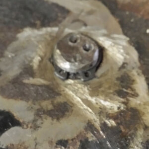 20140102_144205.jpg