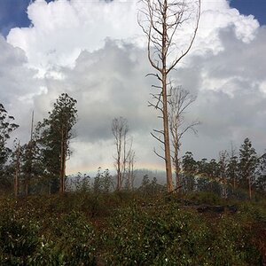 IMG_2630.jpg