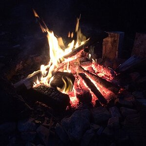 IMG_2640.jpg
