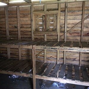 IMG_2682.jpg