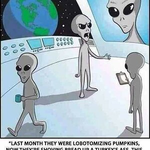 alien.jpg
