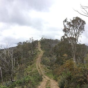 IMG_3160.jpg