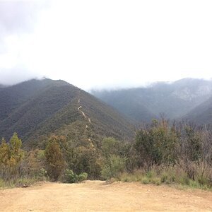 IMG_3279.jpg