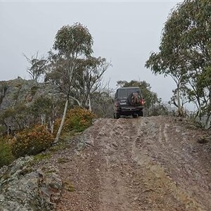 IMG_3292.jpg