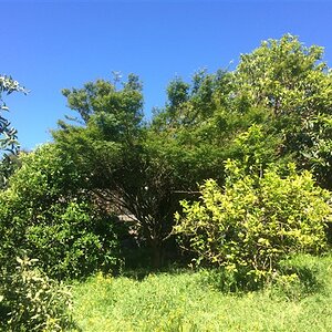 IMG_3636.jpg