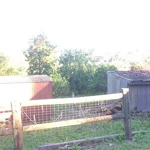IMG_3644.jpg