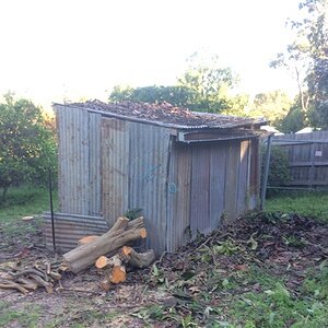 IMG_3649.jpg