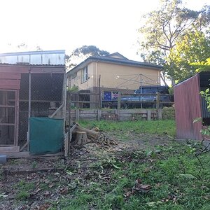 IMG_3651.jpg