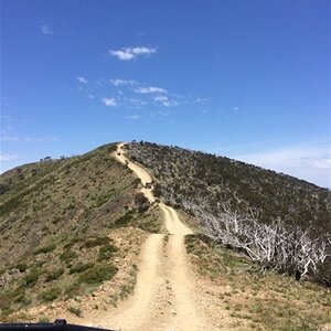 IMG_3397.jpg
