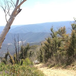 IMG_3455.jpg