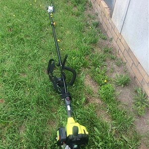 IMG_3716.jpg