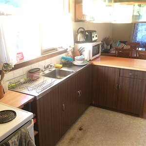 IMG_3801.jpg