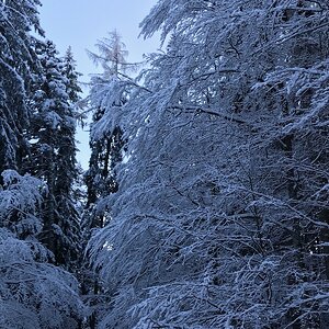 D469F684-91E5-45CA-8A19-FCFF1EF60E3F.jpeg