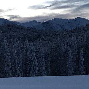 33B42048-821D-4E75-A2D5-27A5C137E599.jpeg