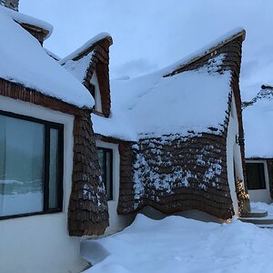 58957B32-9FF9-4488-BC59-D350339647E1.jpeg