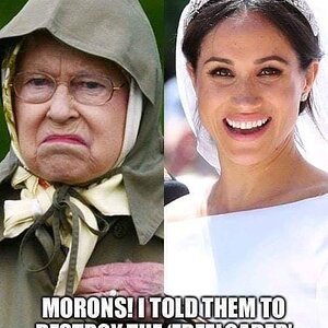moron.jpg