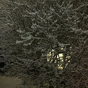 0A1C2880-78E4-4D31-A7E1-66D7D10F12CD.jpeg
