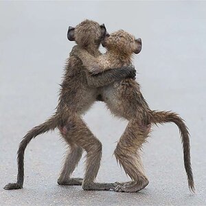 Sometimes you just need a hug.jpg