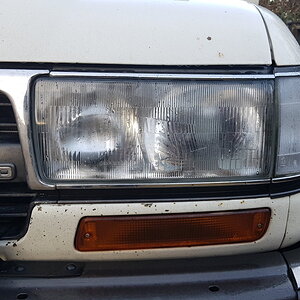 20190219_083101.jpg