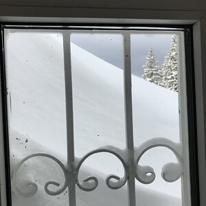 E1260D3C-03CE-4596-9BD2-9C8D4F0841A6.jpeg
