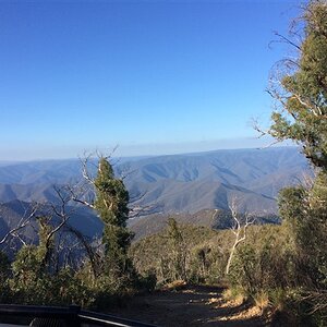 IMG_4486.jpg