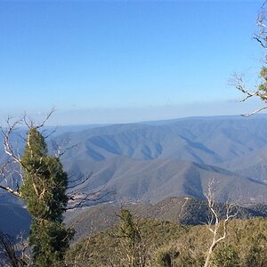 IMG_4487.jpg