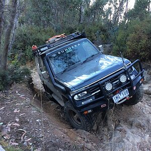 IMG_4569.jpg