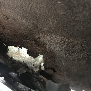 1FFDCF17-9284-4372-AB49-49BDAB88EAFE.jpeg