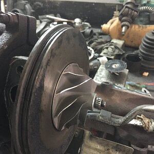 E2F783DC-F719-453F-99DC-D0809862A271.jpeg