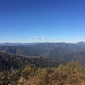 IMG_5428.jpg