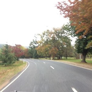 IMG_5486.jpg