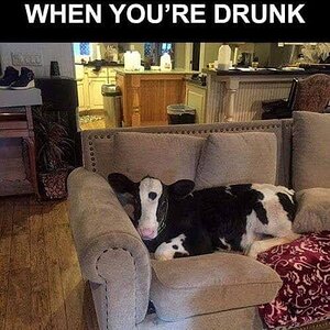 Drunk.jpg