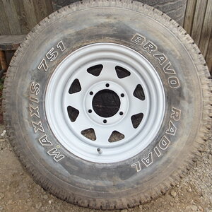 DSCF9781.JPG