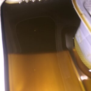 transfercase oil.jpg