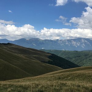 D11175AF-9A5D-4E3E-B6D7-9136A2522B58.jpeg