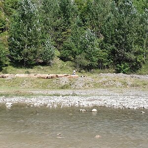20190827_150346.jpg