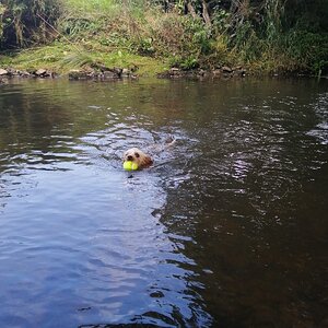 IMG-20190827-WA0018.jpg