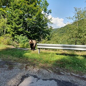 20190828_122357.jpg