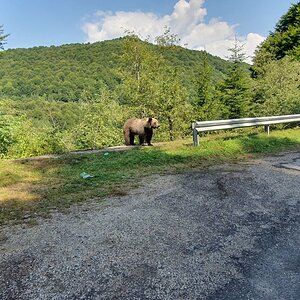 20190828_122402.jpg