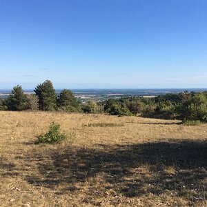 25EEC748-2E5D-4F36-B10B-6CE4DF437FEE.jpeg