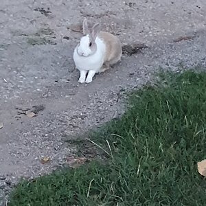 20190818_203059.jpg